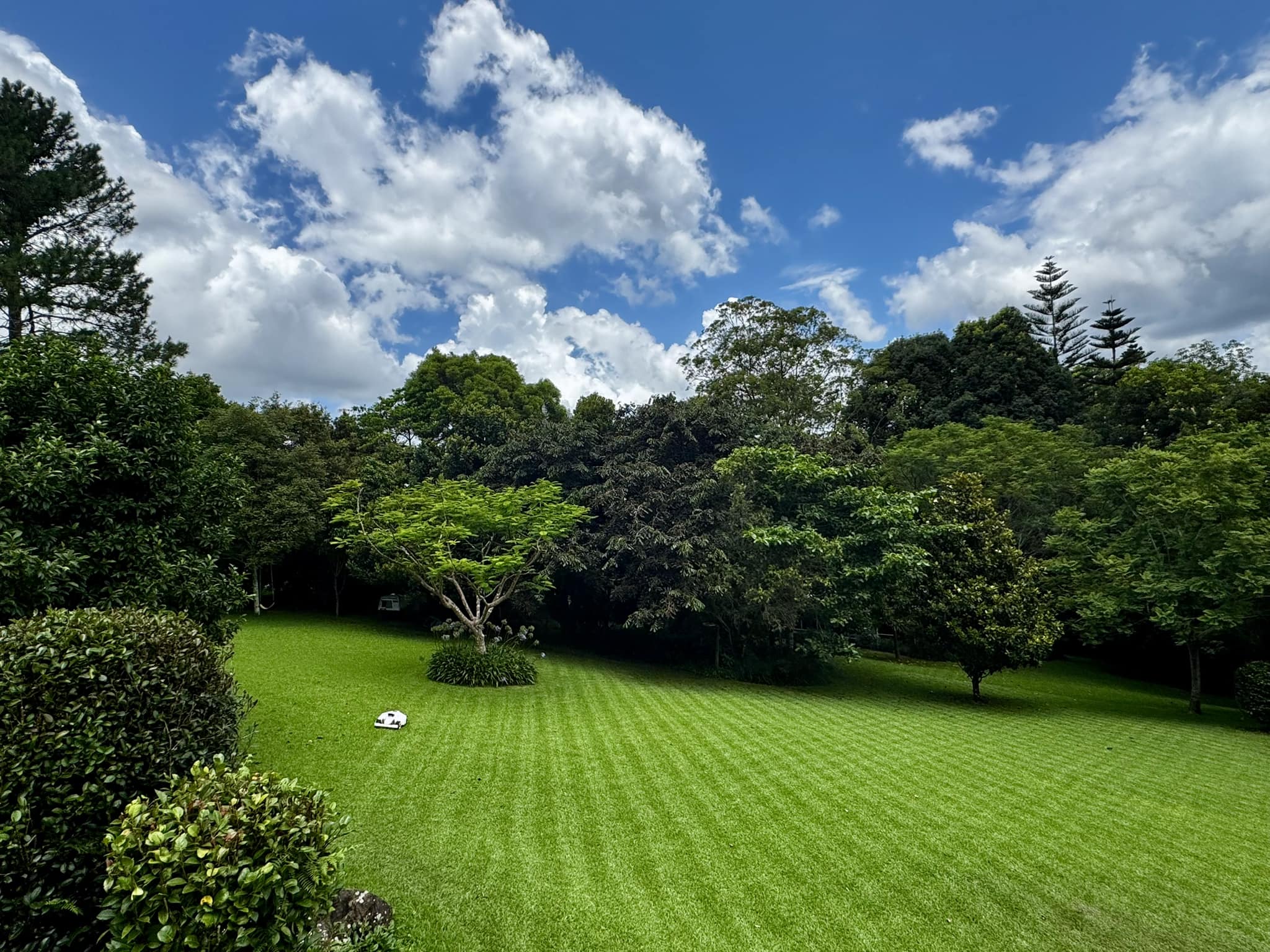Pristine Lawn Striping Shot 1