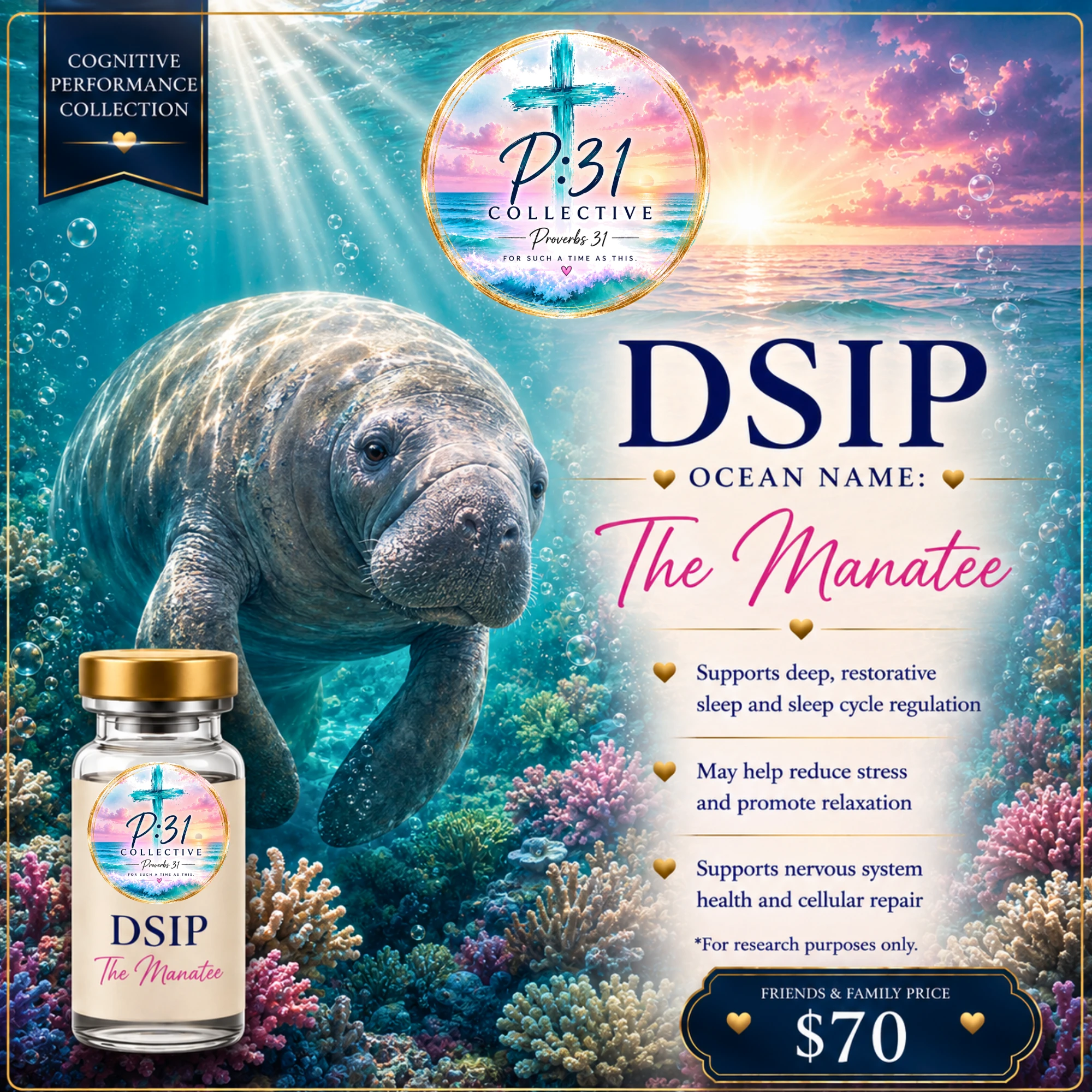 DSIP