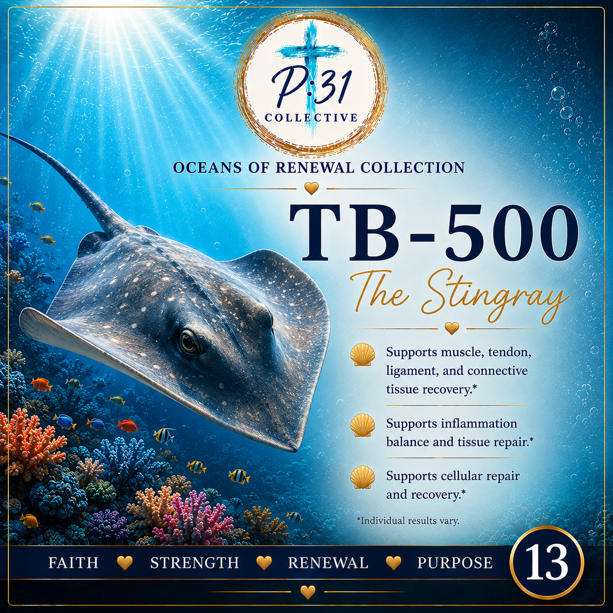 Stingray TB-500 PR:31 Collective product image