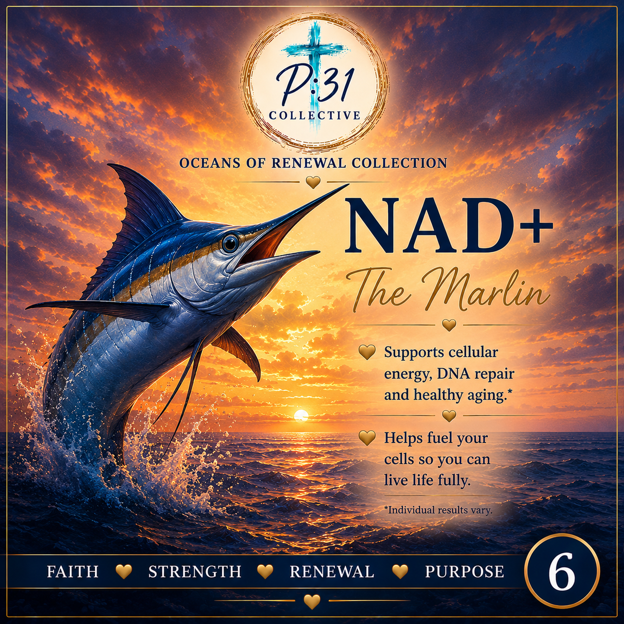 Marlin NAD+ PR:31 Collective product image