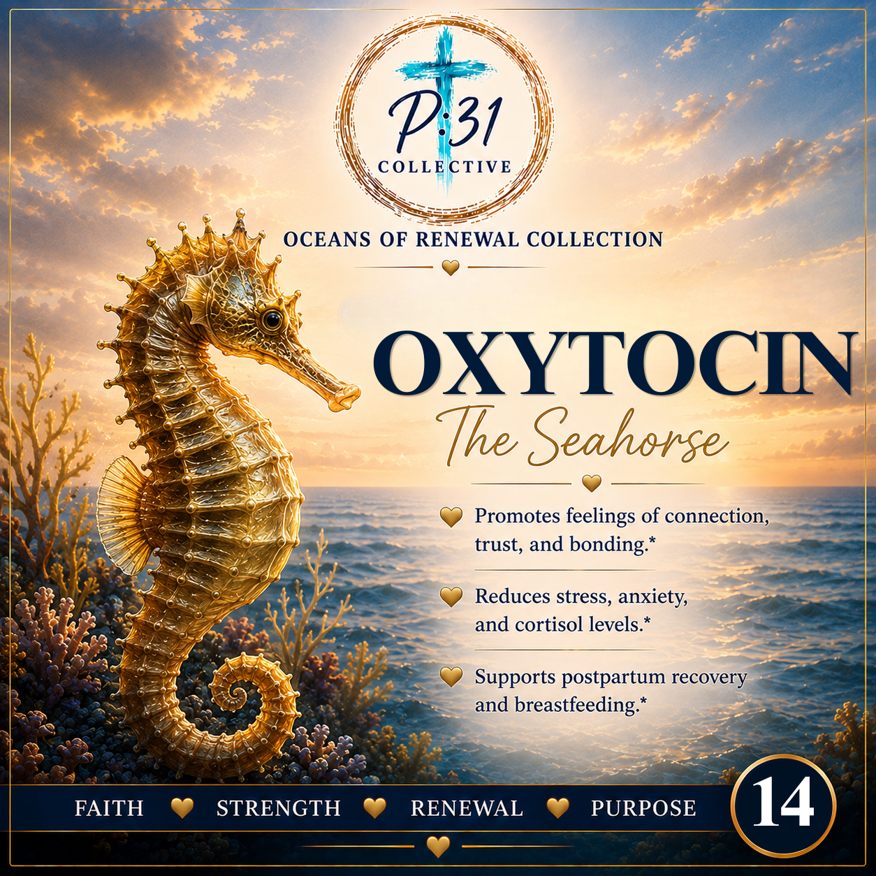 Seahorse Oxytocin PR:31 Collective product image