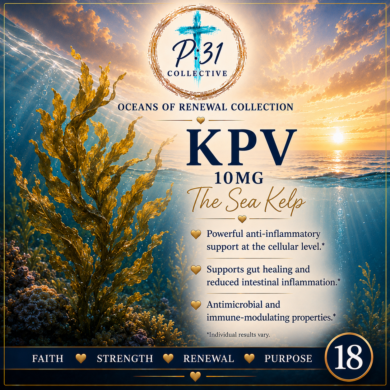 Sea Kelp KPV PR:31 Collective product image