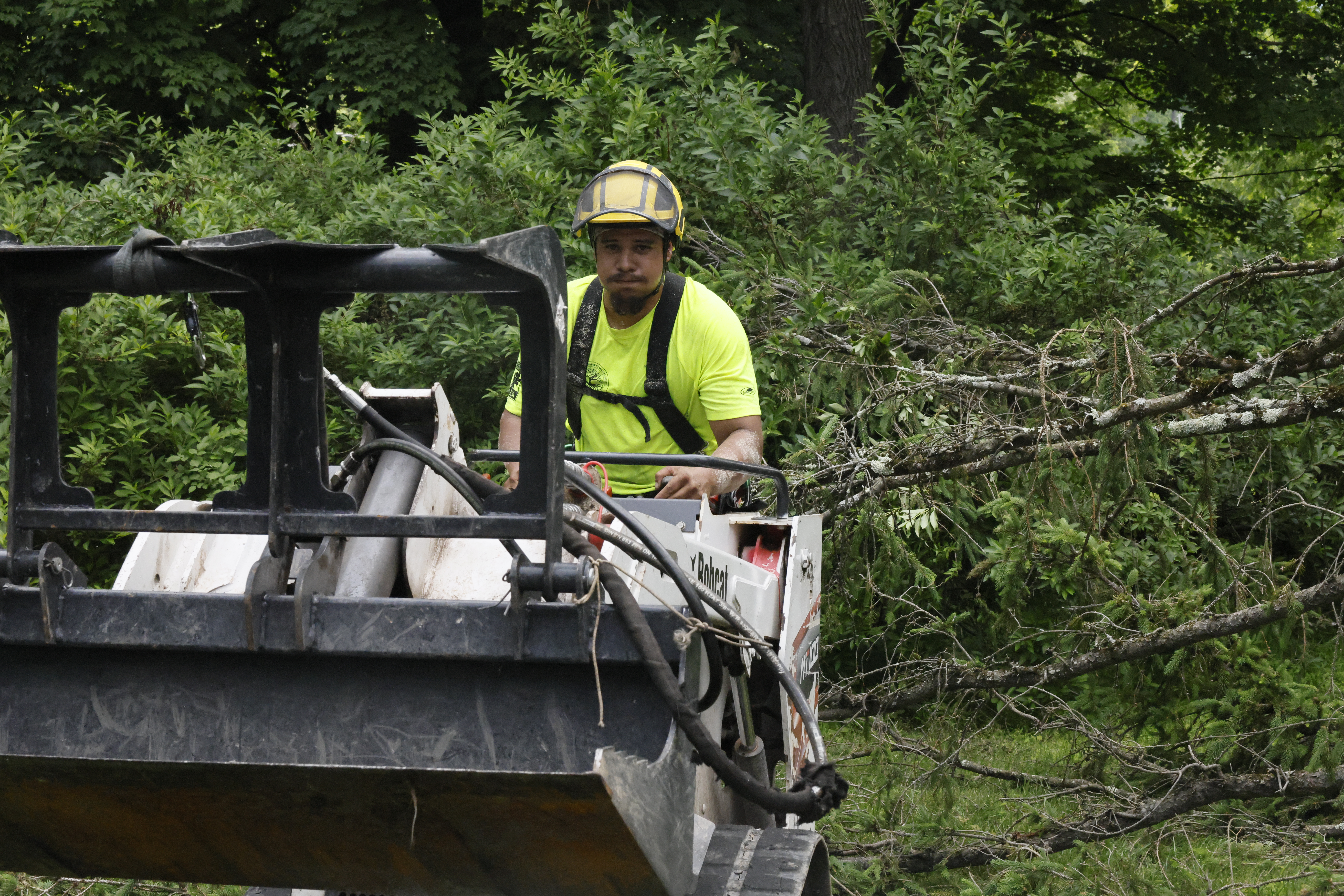 Land clearing service