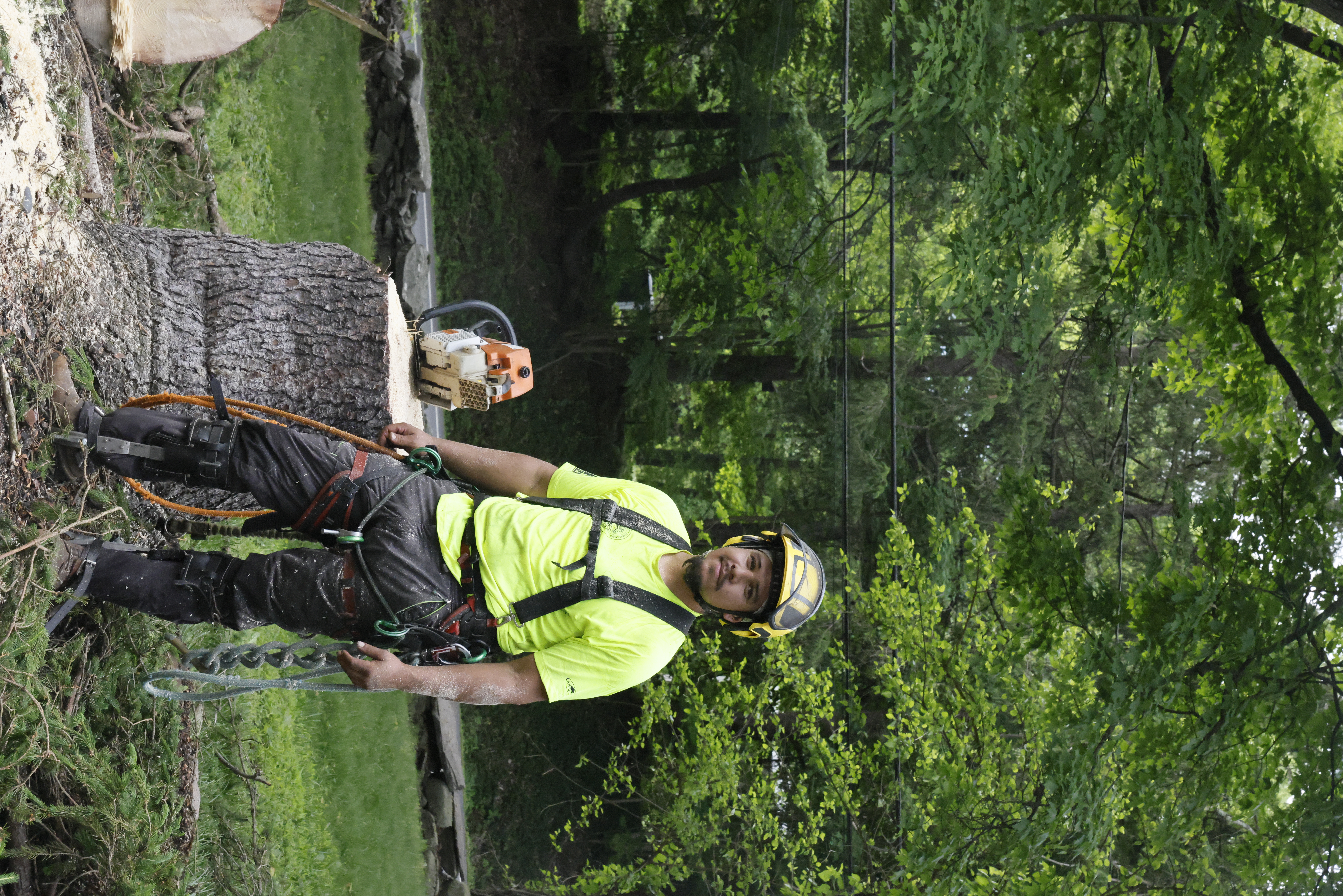 Kevin, owner of Willy Diamond Tree Care