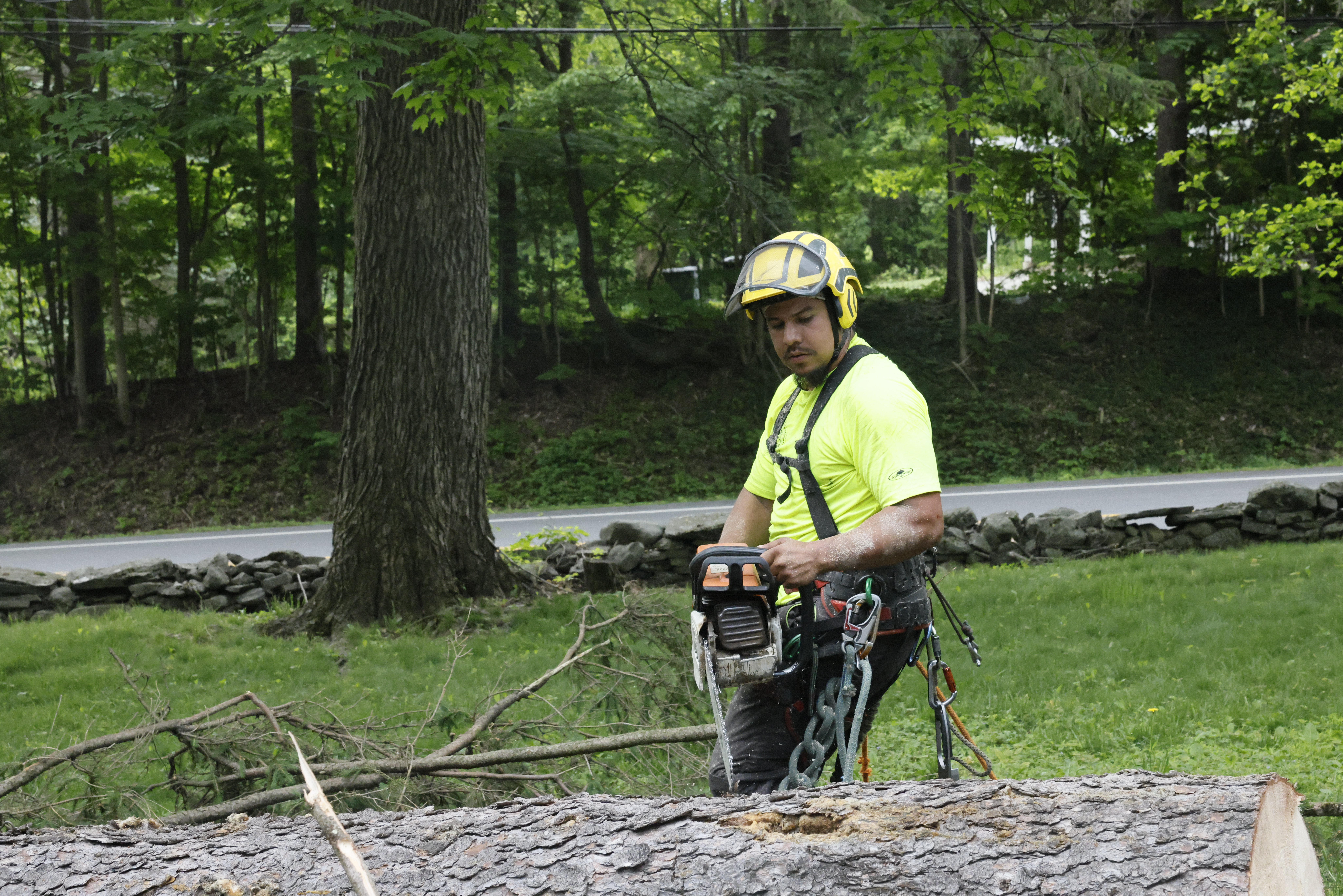 Willy Diamond Tree Care storm cleanup project photo