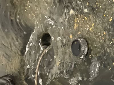 {{ custom_values.service_3 }} in {{custom_values.area_3})