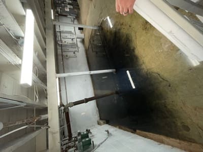 {{ custom_values.service_3 }} in {{custom_values.area_3})