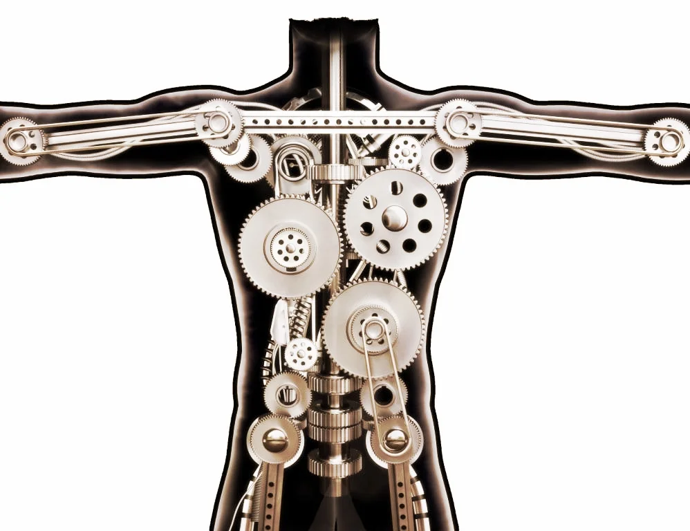 Wellness, Health, Quantum, Chiropractic 