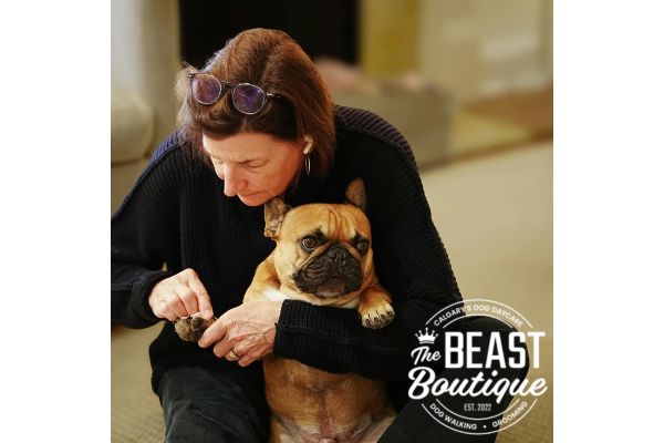 a woman sits on the floor and trims her dog's nails