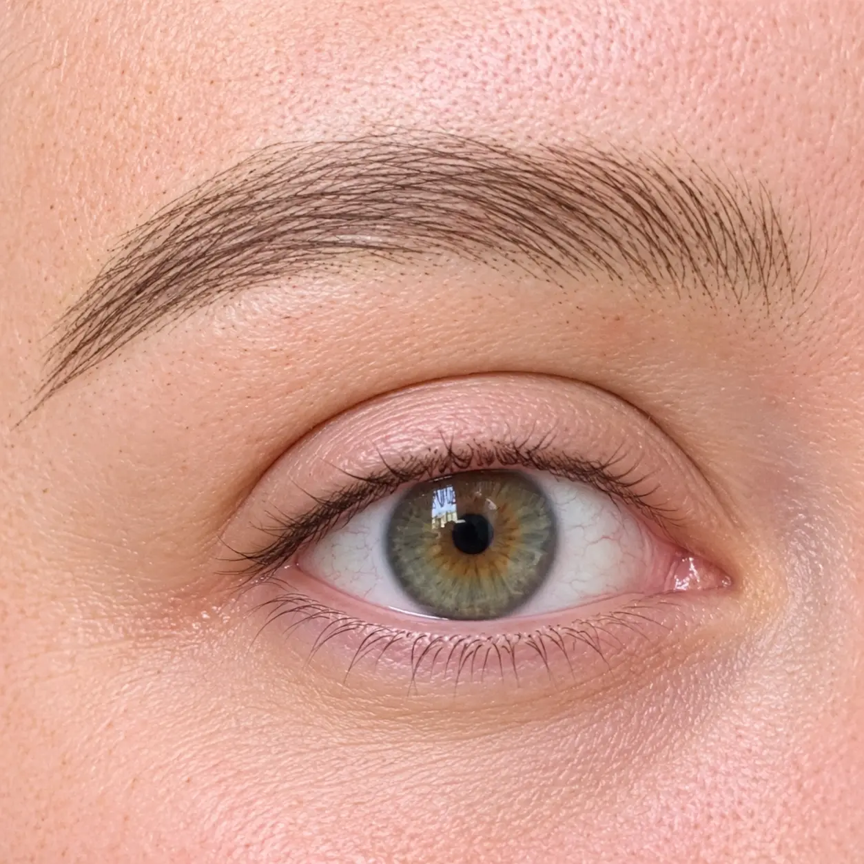 Close-up of nano brow hair strokes result