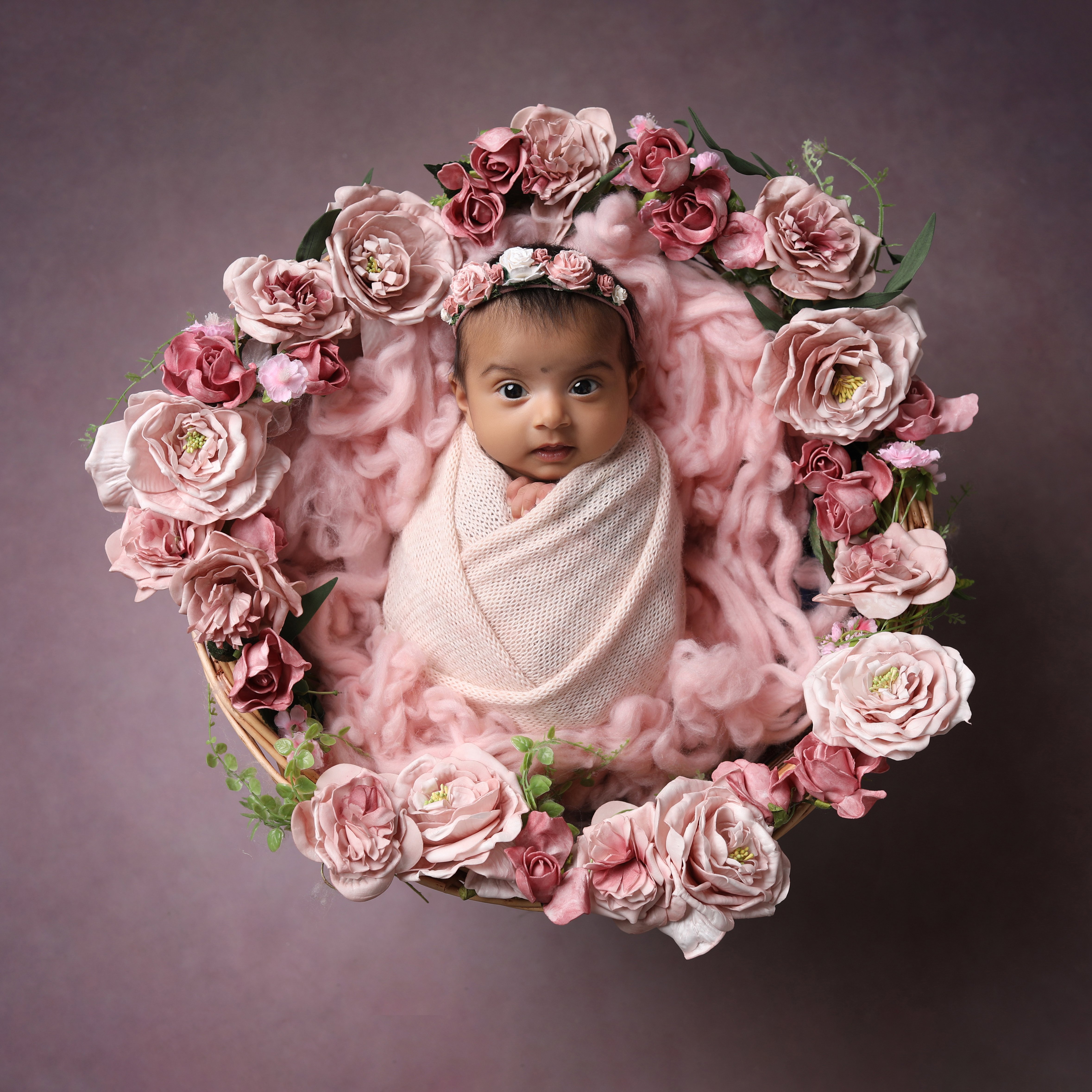 Baby in a bundle of pink roses - taken by professional photographer in Loughborough