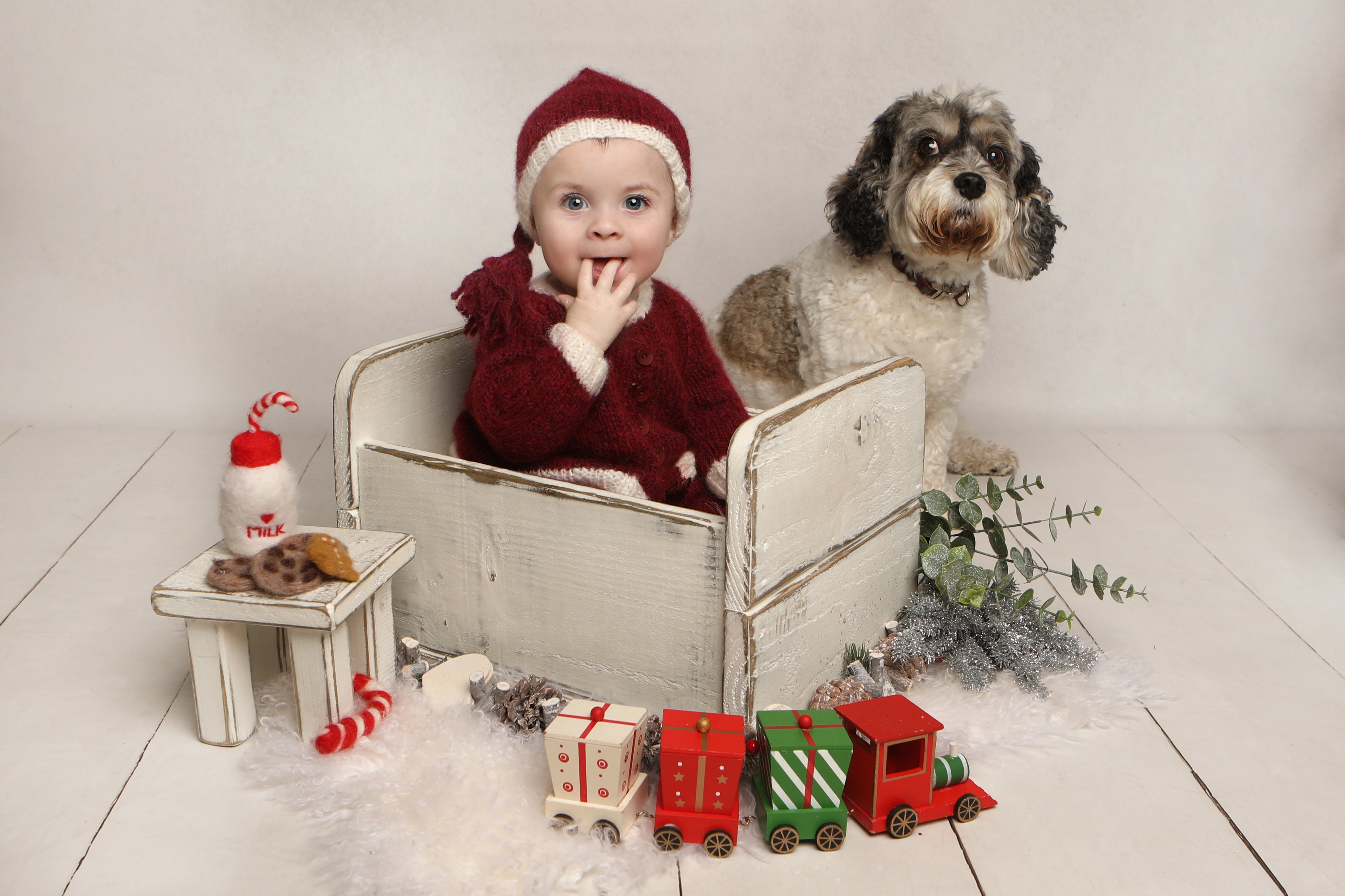 Young child with dog - Professional baby photos taken by baby art Manchester