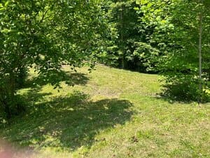 Residential Cleaning in Fredericksburg, Virginia