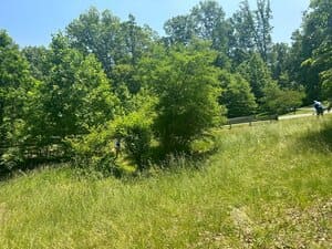 Lawn Maintenance in Fredericksburg, Virginia