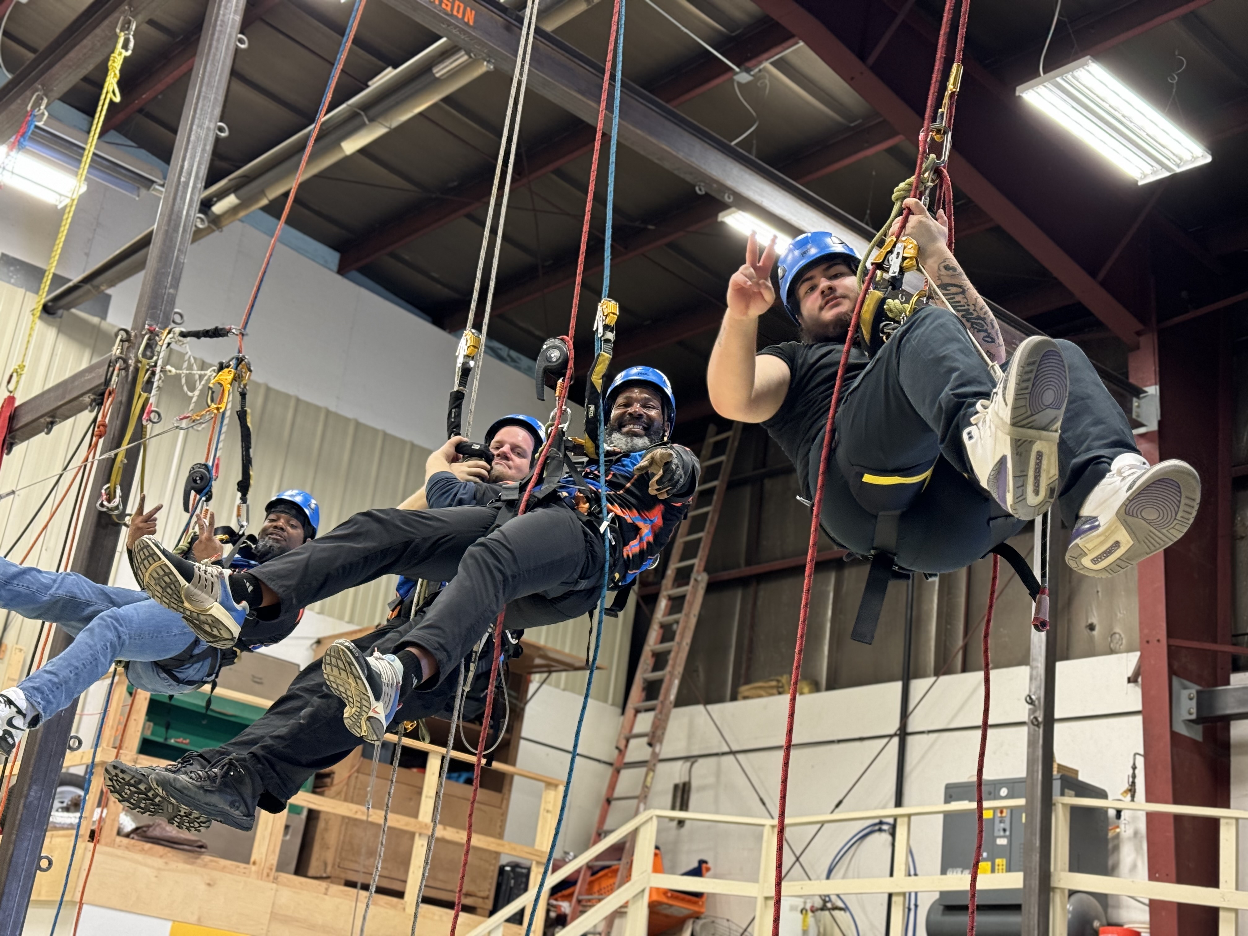 Professional Team Working