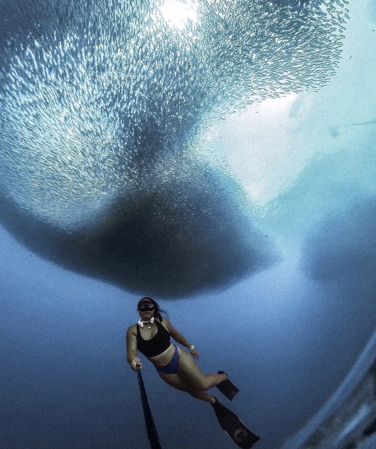 Diving