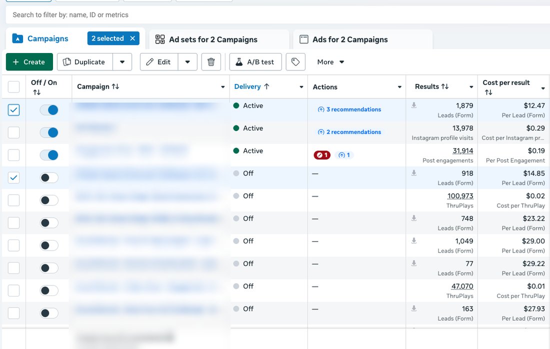 Ads Manager screenshot with campaign names blurred