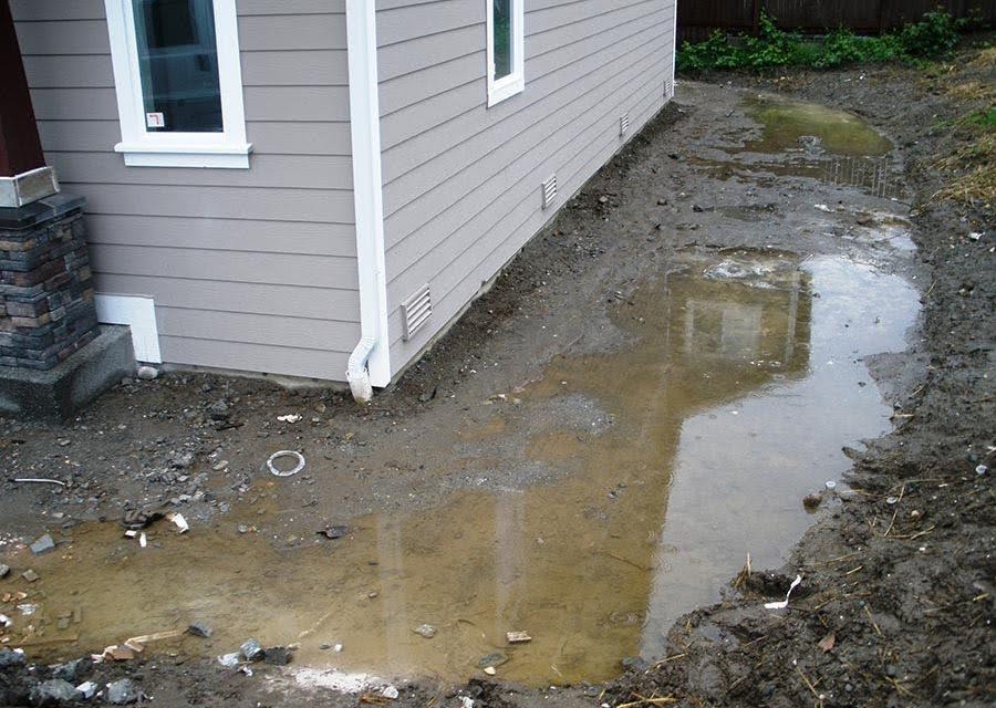 Standing water and pooling near a home’s foundation caused by poor gutter or downspout drainage.