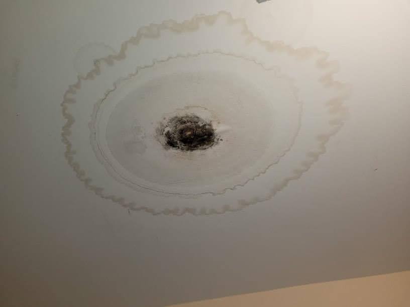 Ceiling water stain with visible mold growth caused by roof or gutter-related water damage.
