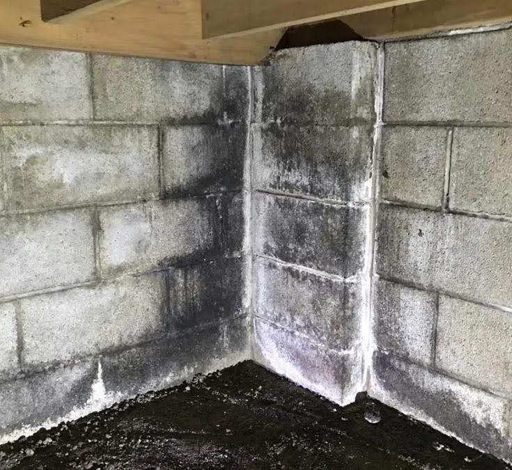 Basement/foundation corner showing mold and mildew growth on concrete block wall caused by water intrusion from faulty eavestroughs and poor exterior drainage.