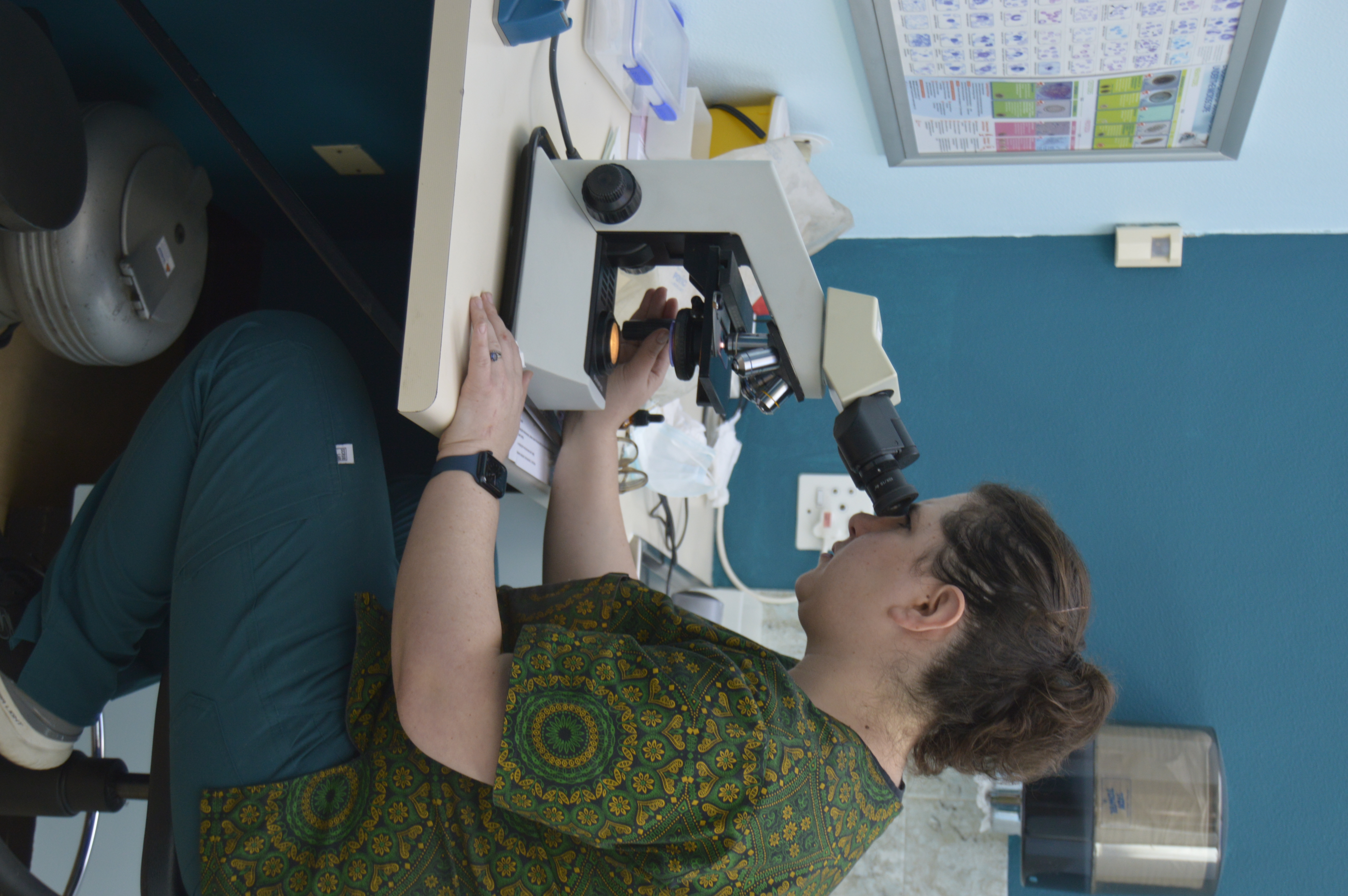 Fernridge Vet Practice gallery image 3