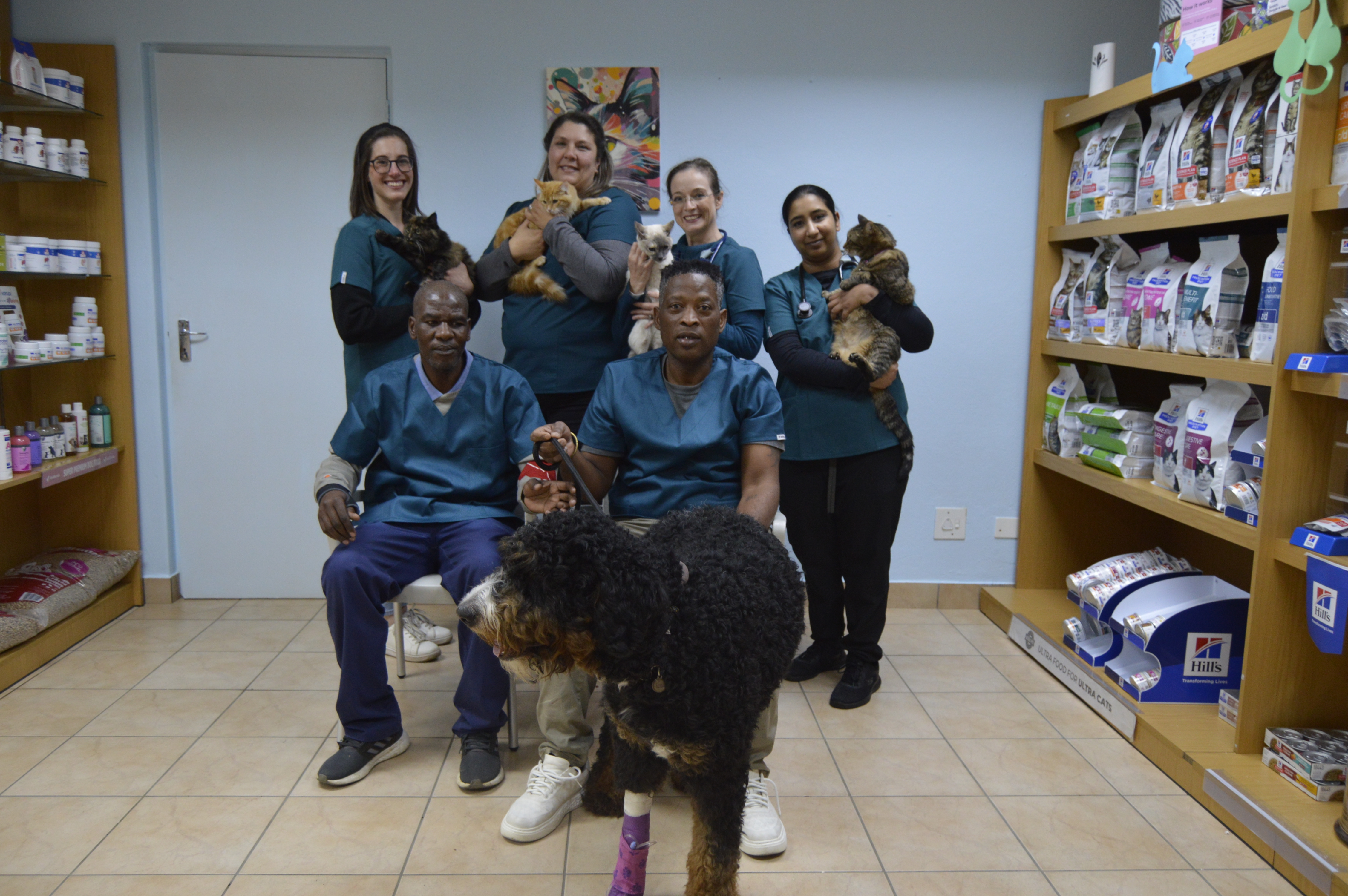 Welcoming reception area of Fernridge Vet Practice