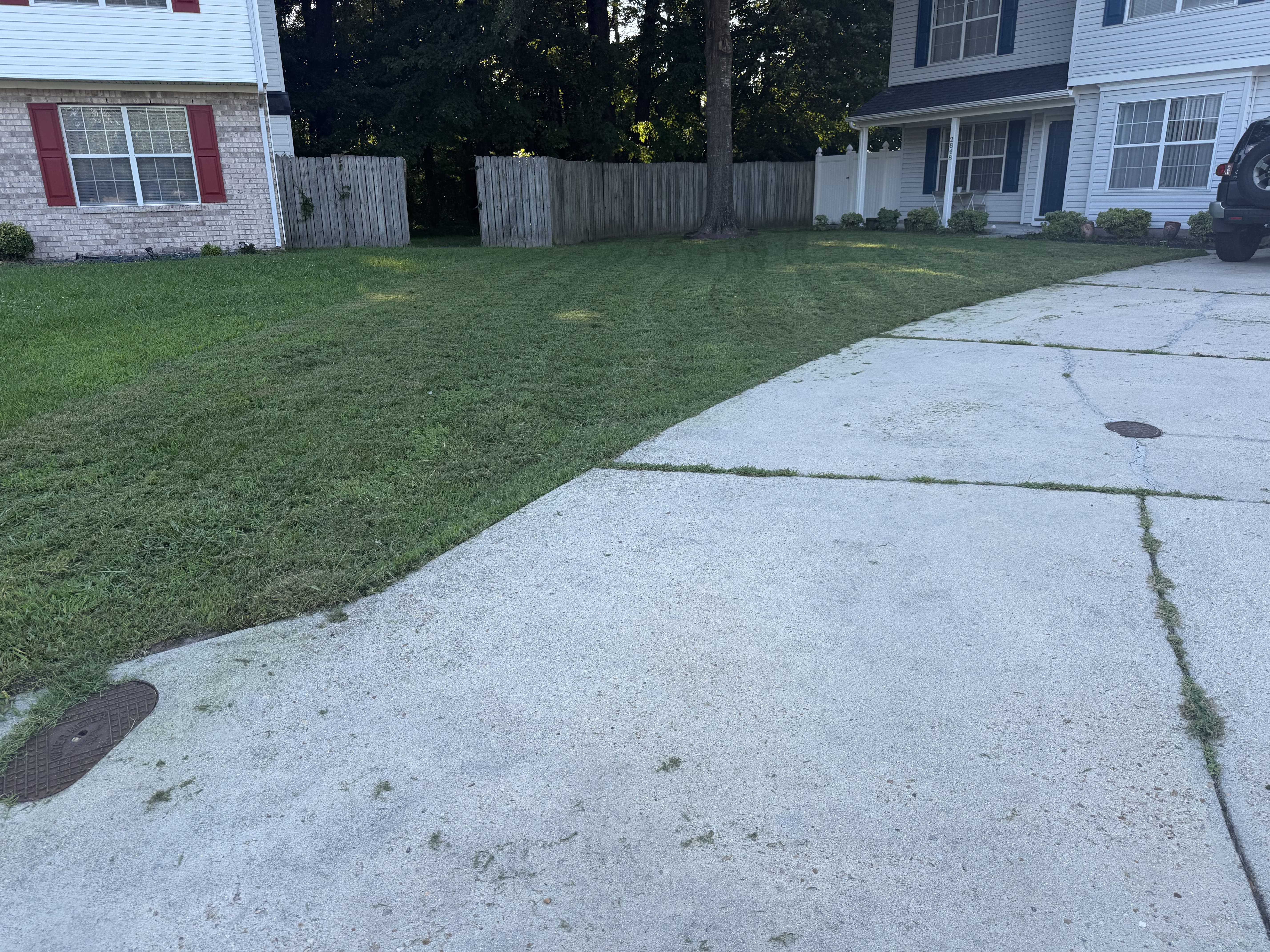 The Lawn Alchemist maintained lawn