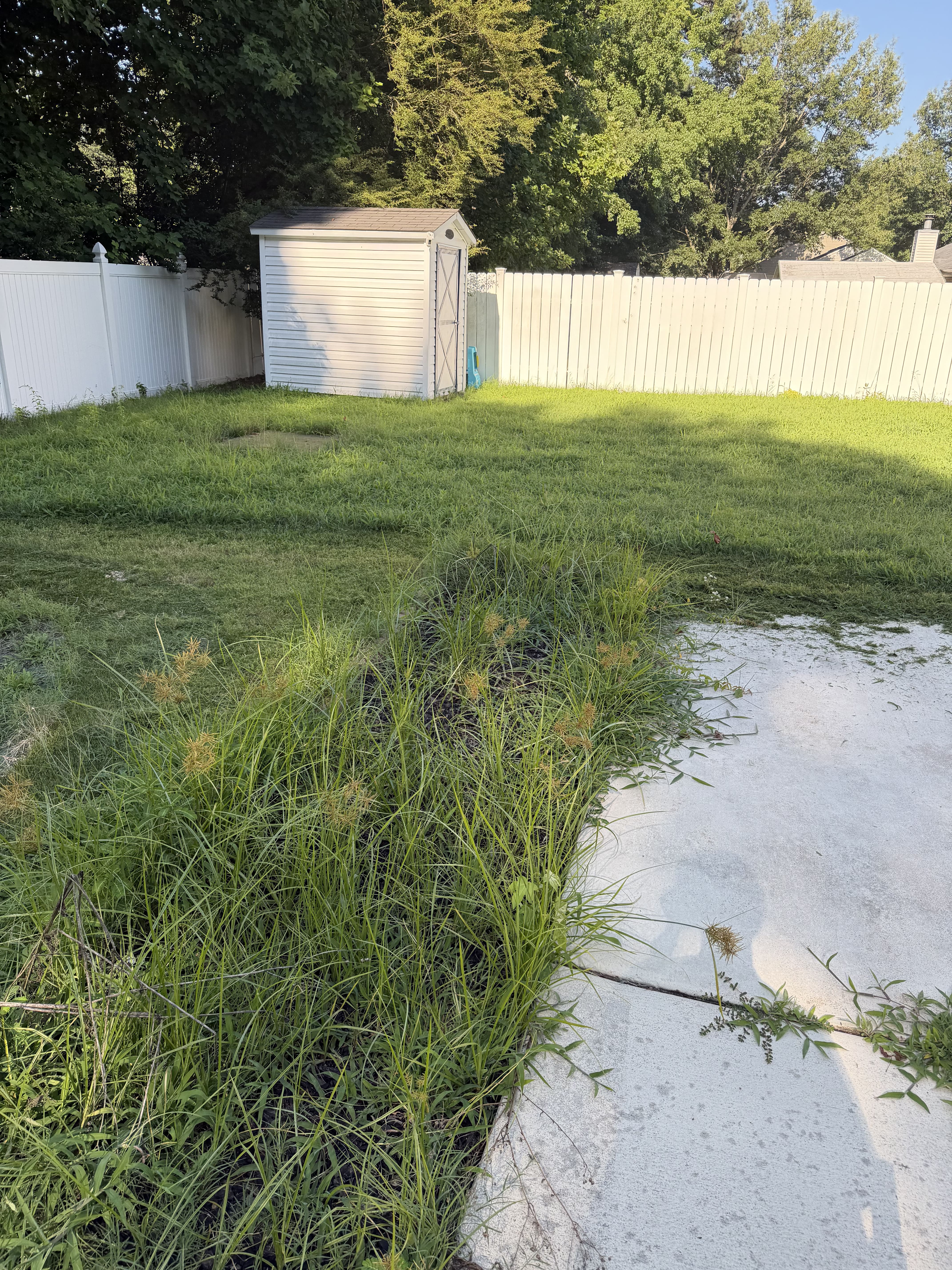 The Lawn Alchemist mowing project