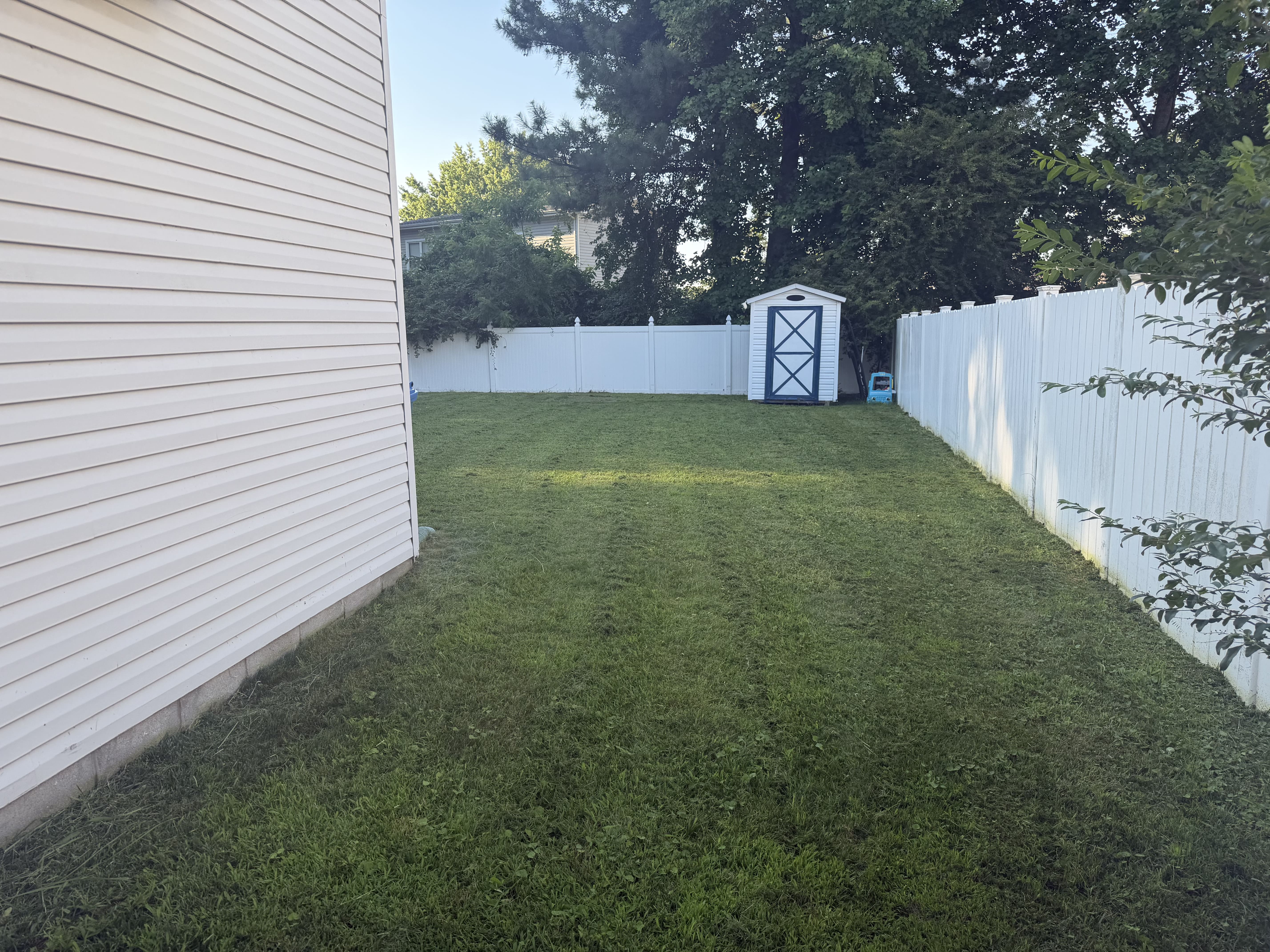 The Lawn Alchemist lawn care project