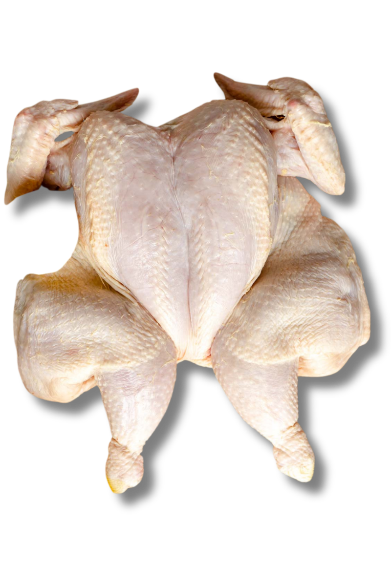 Chicken Flattie