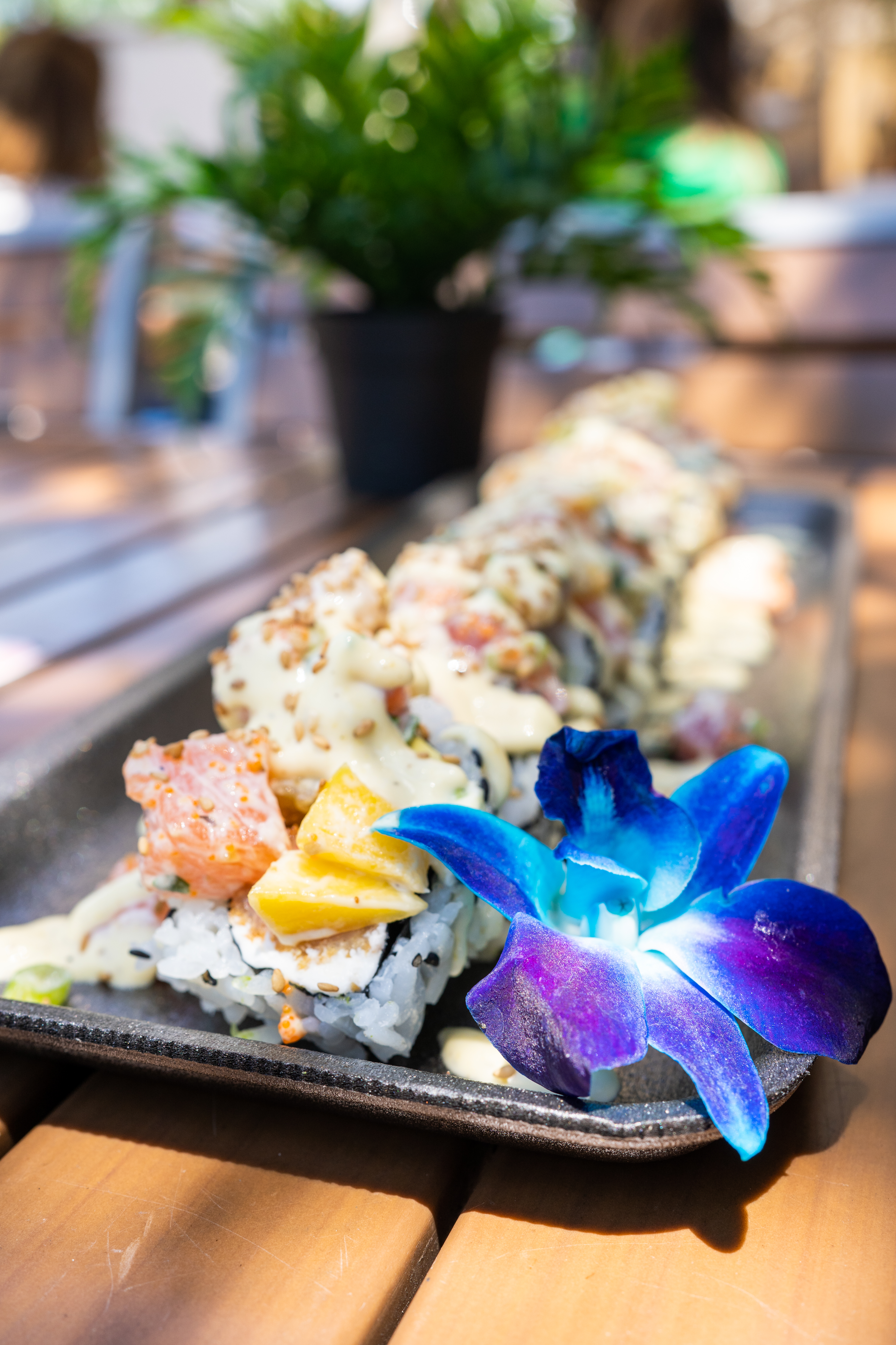 Take a Sushi