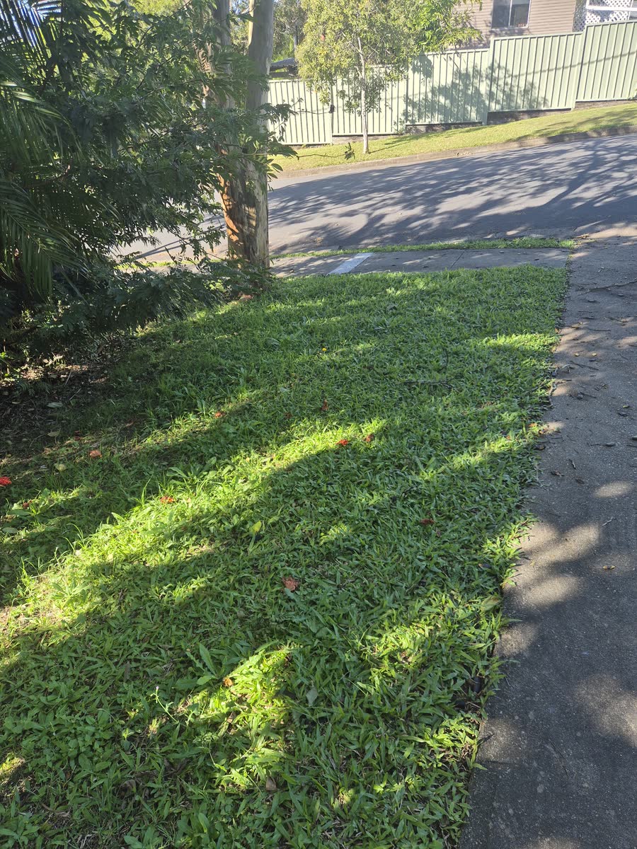 Garden Maintenance