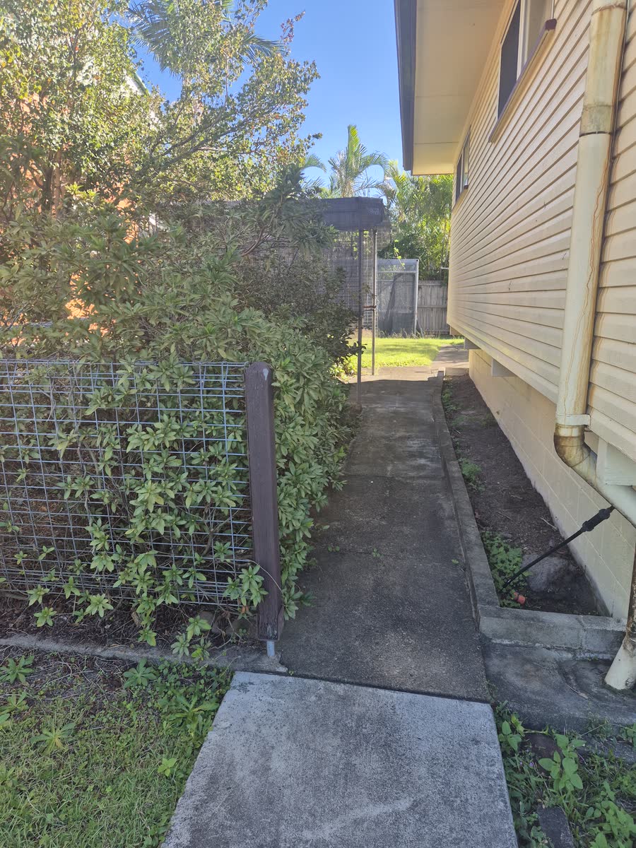 Hedge Trimming