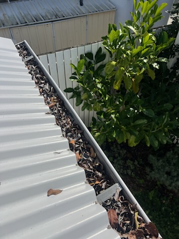 A gutter packed with leaves and debris before work by First Choice Gutter Services
