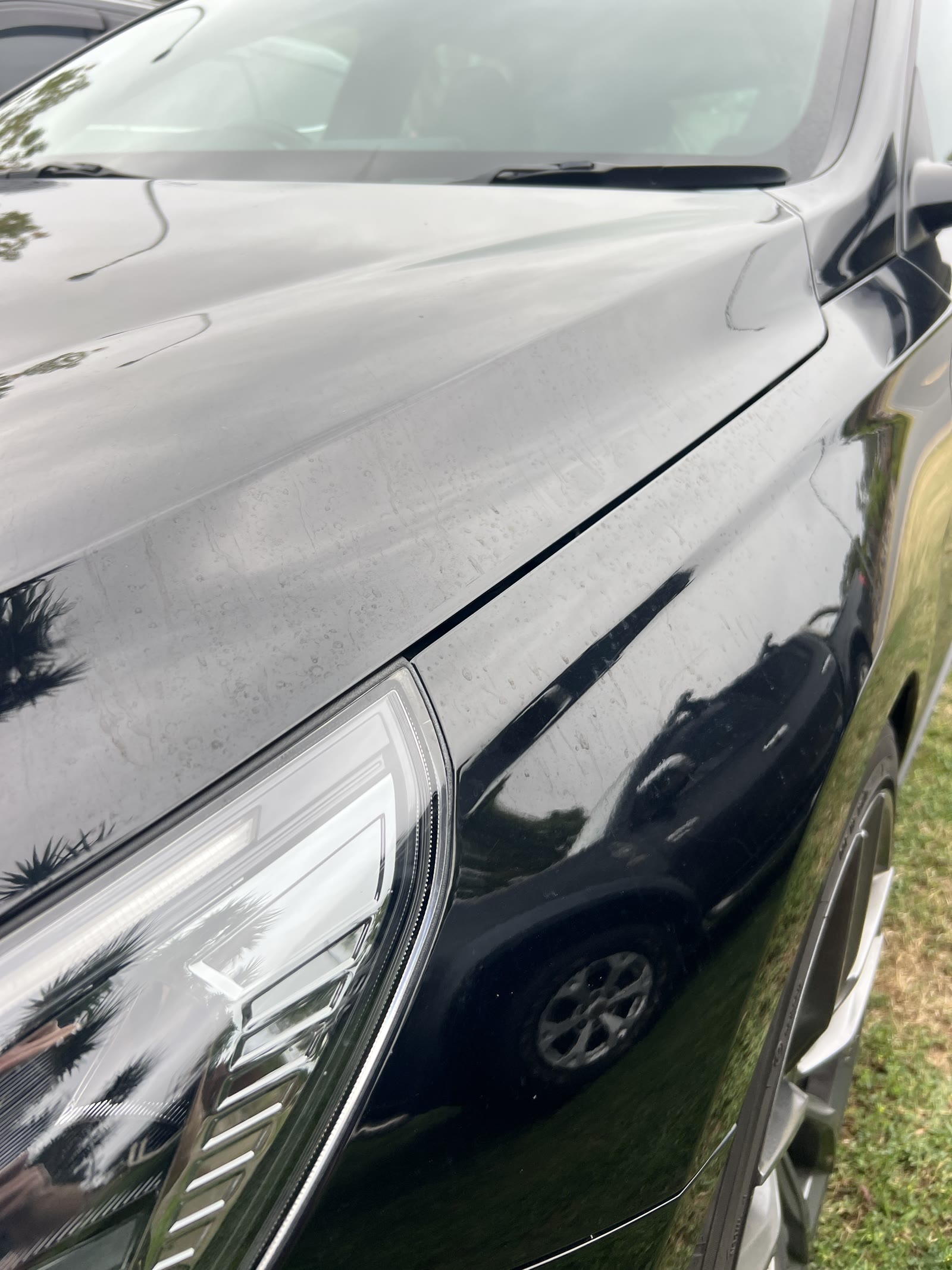Hyundai front quarter panel detailed by Waddles Detailing