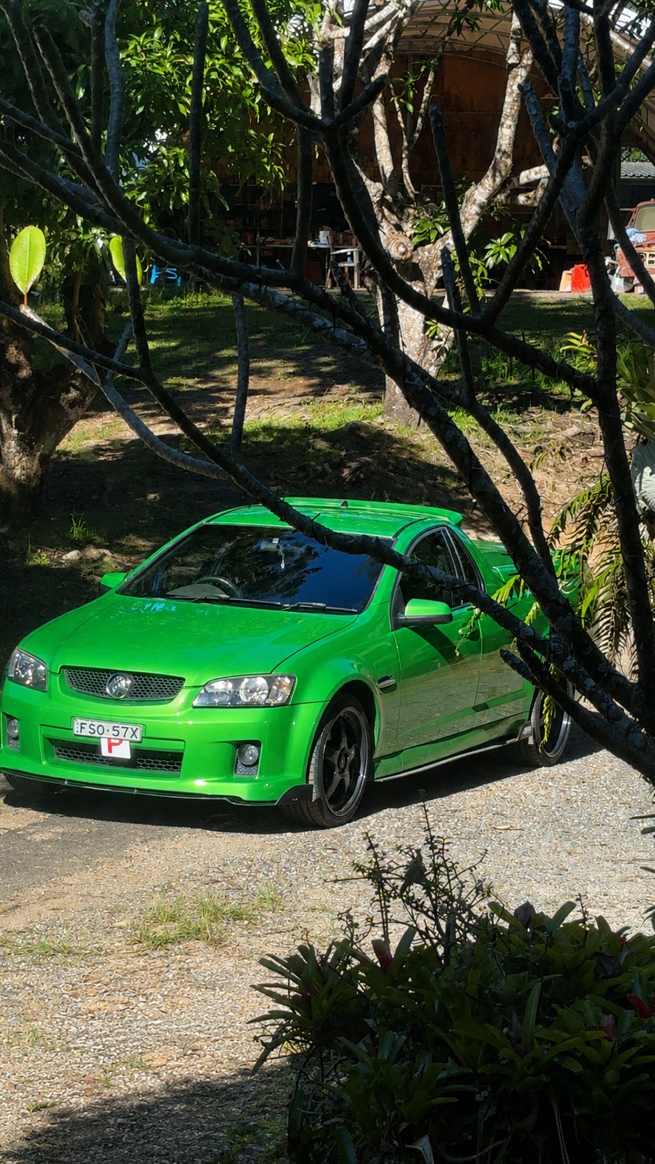 The Druid Removal ute