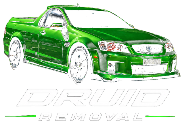 Druid Removal logo