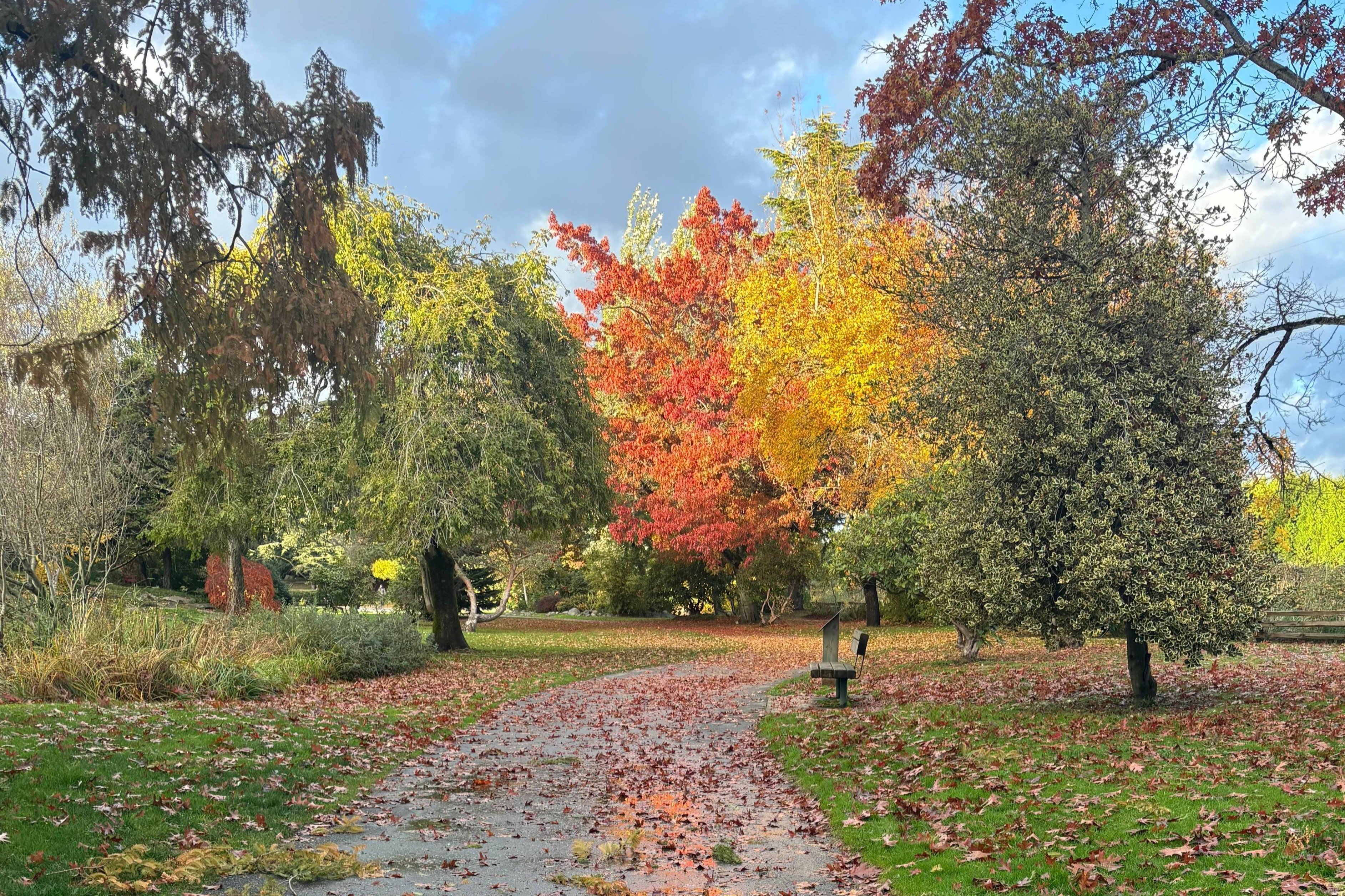 3 Things I'm Releasing This Fall