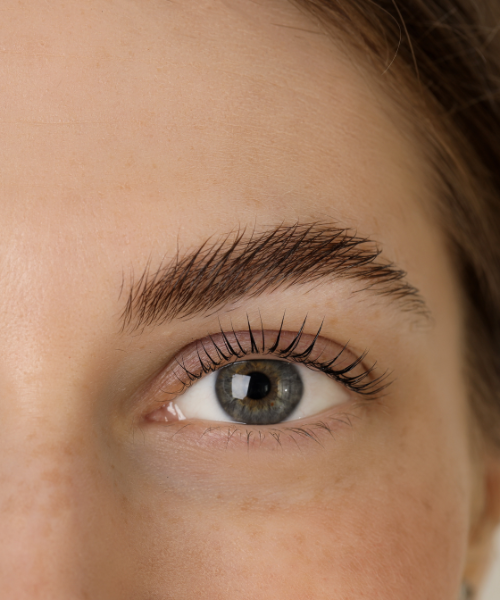 Lash lift and brow lamination with tinting at Gaia Organic Nails
