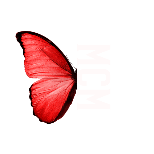 multicultural metamorphosis, sober living, 