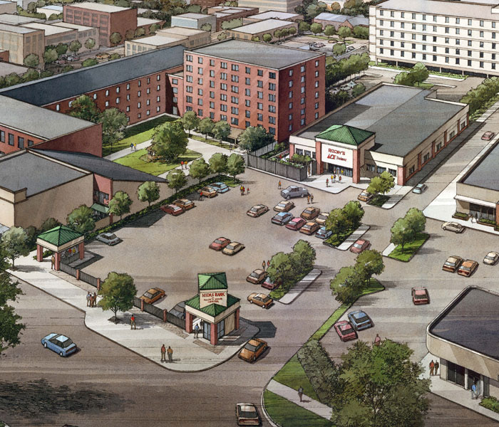 Wetland delineation and soil science work