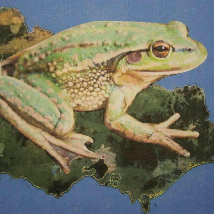 Central Highlands Environmental Consultancy