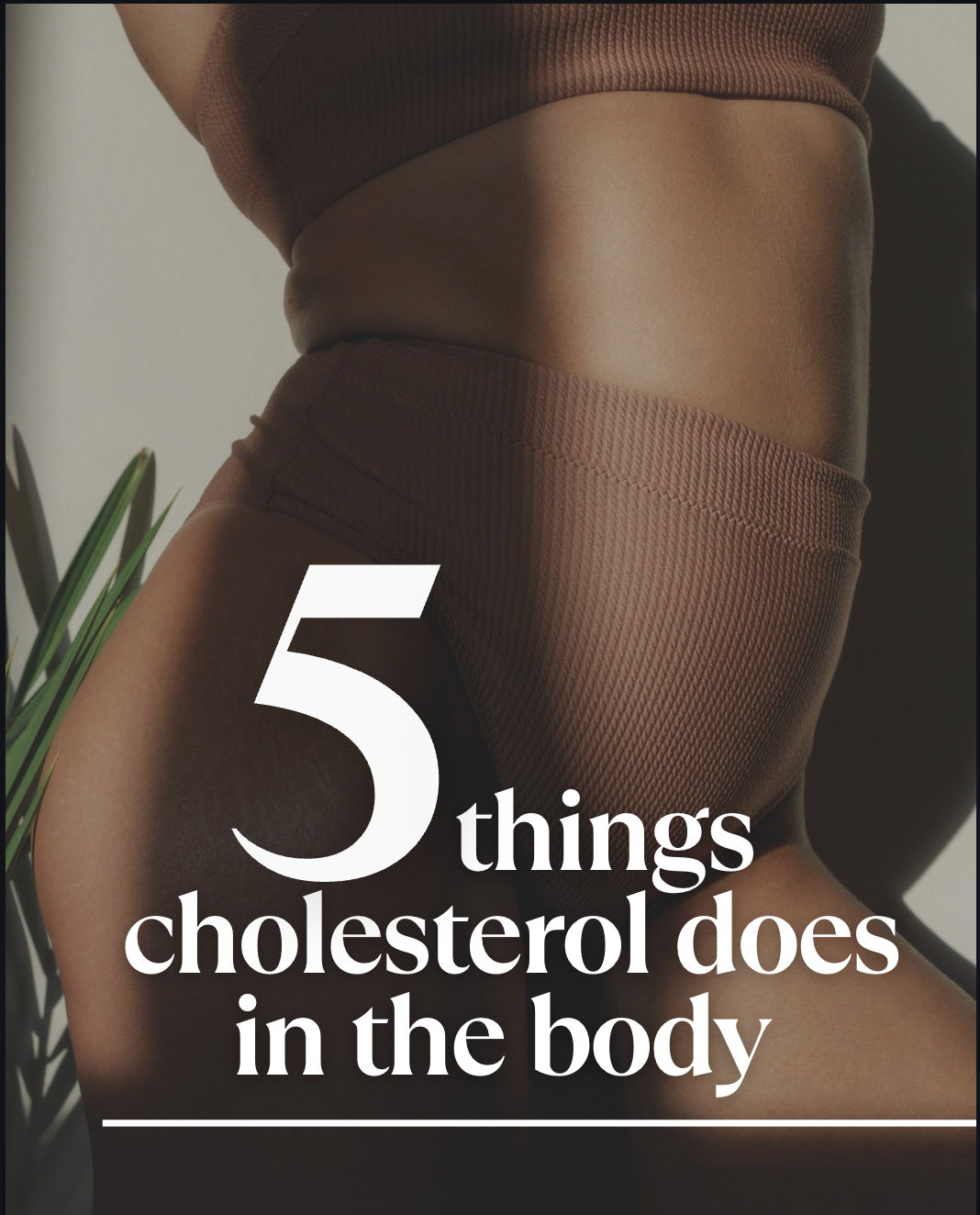 what cholesterol does to the body