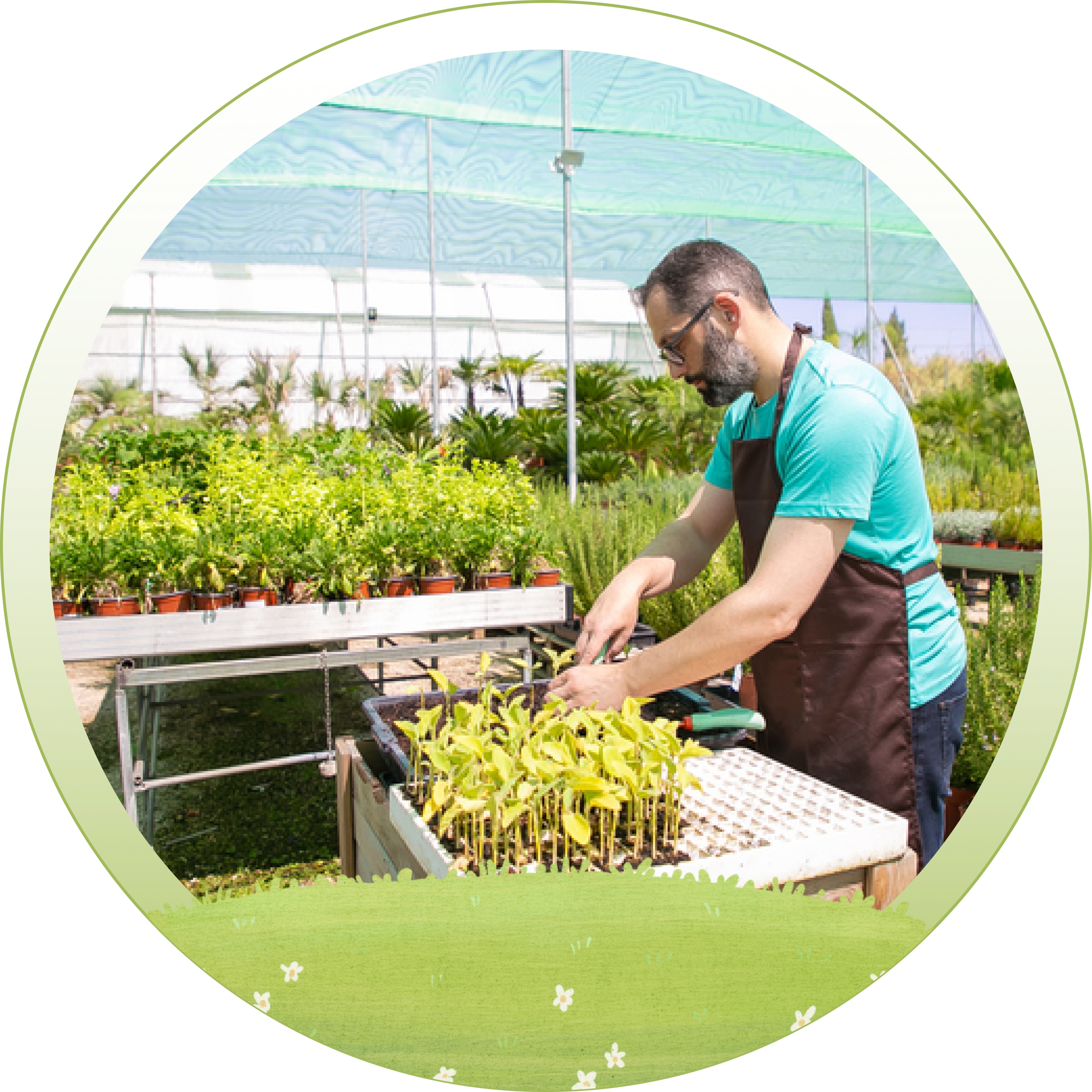 Plant Supply