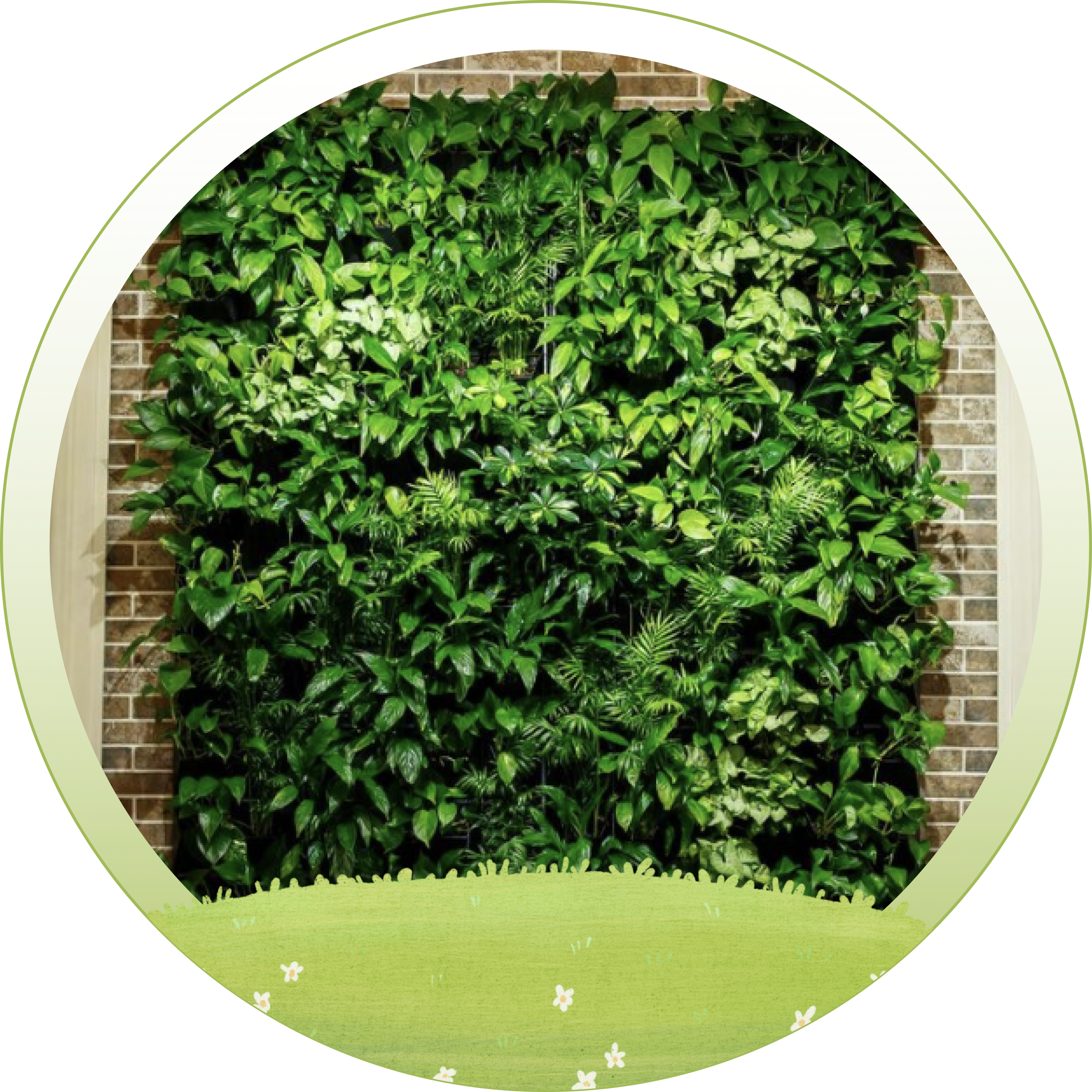 Vertical Green Wall