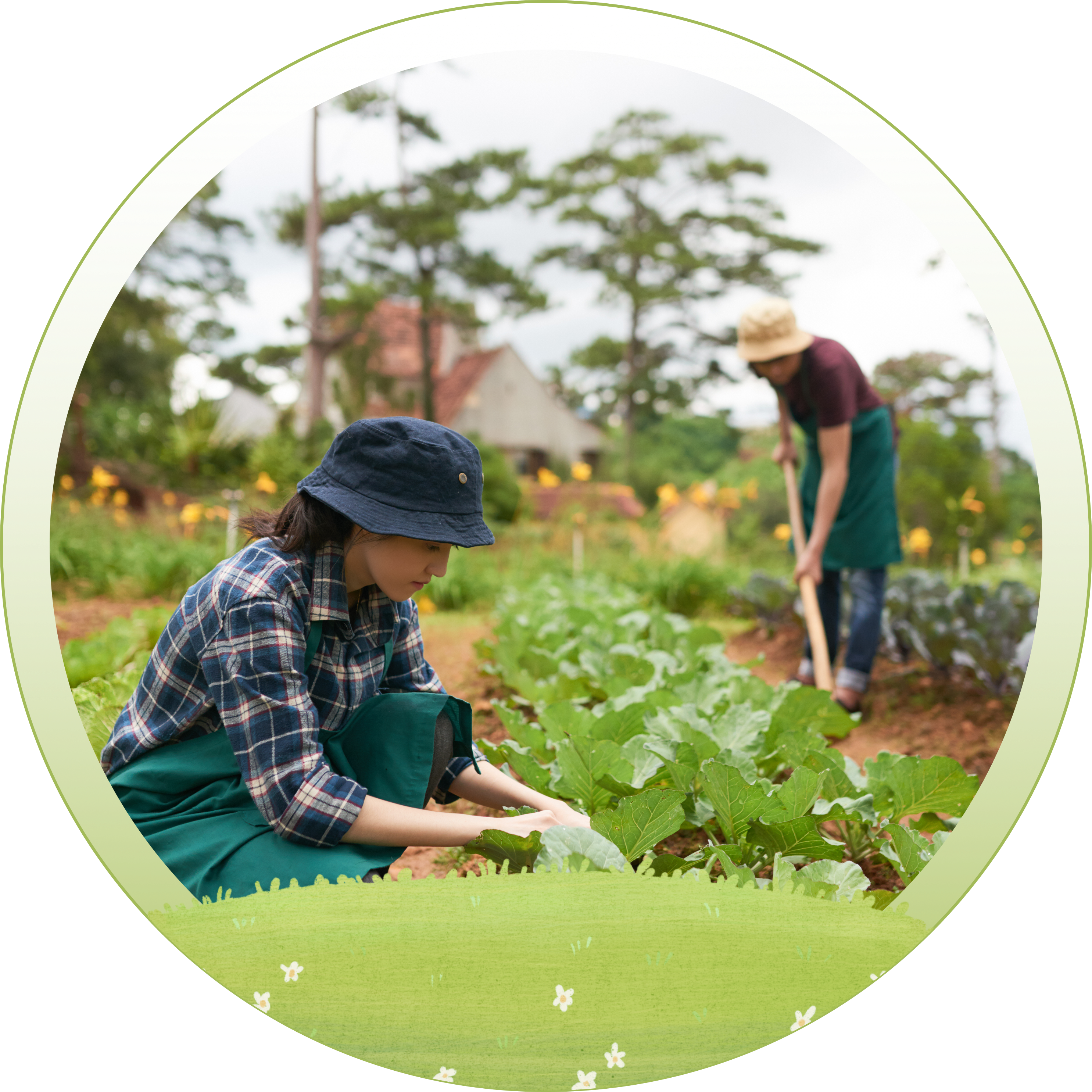 Farm Development