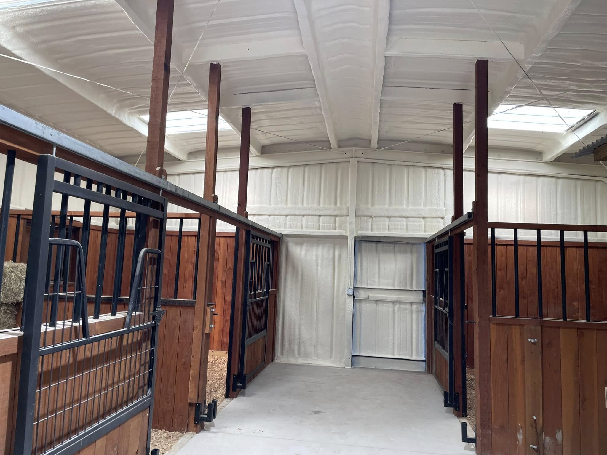 Insulation Removal Service Expert in North Texas