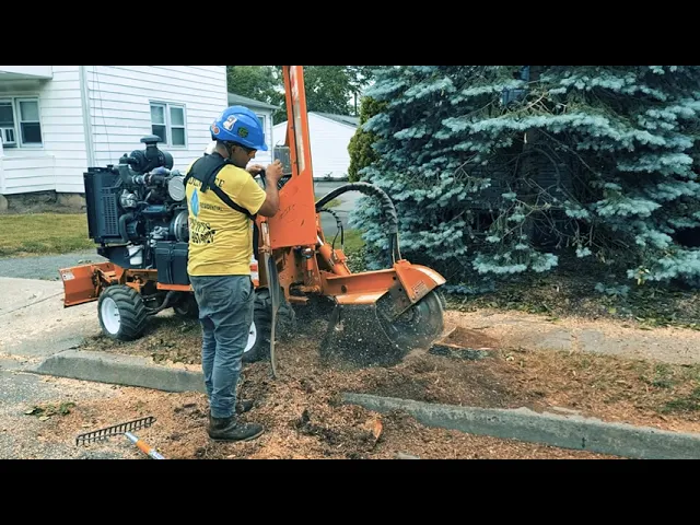Stump Grinding Service in NJ