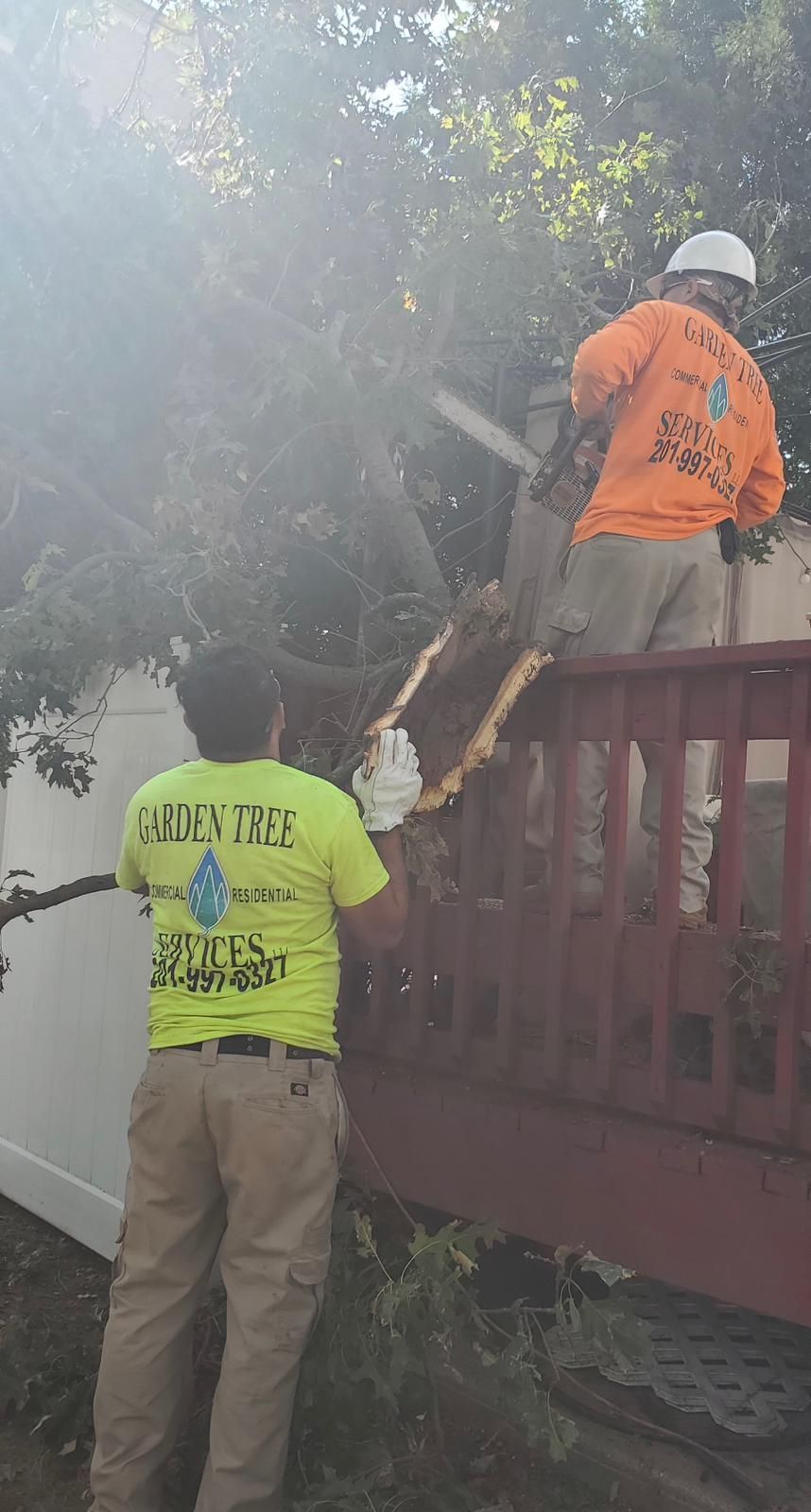 Professional Stump Grinding Services