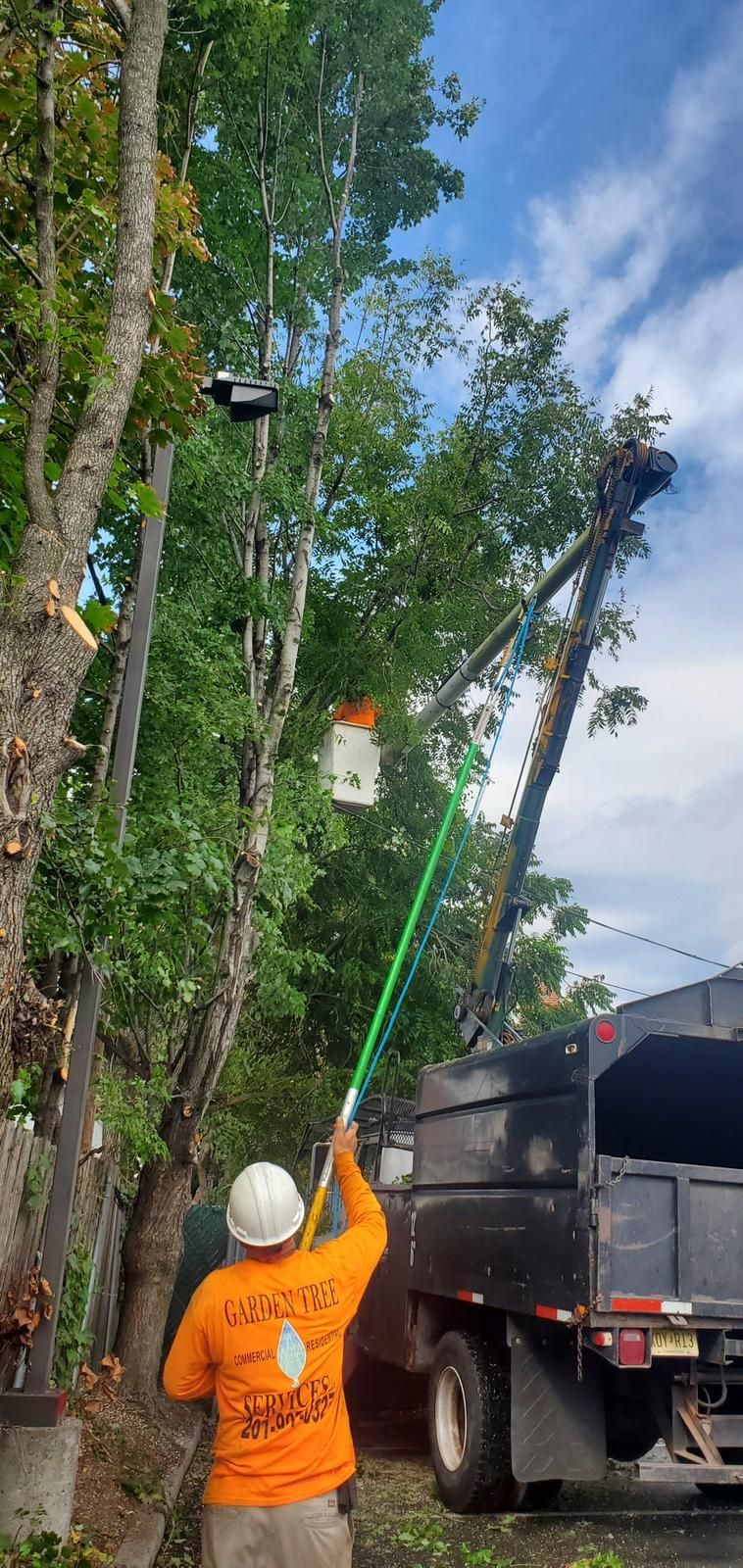 Garden Tree Services Professional Tree Trimming